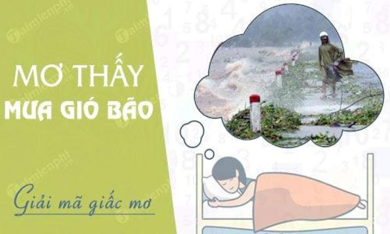 Mơ Thấy Mưa